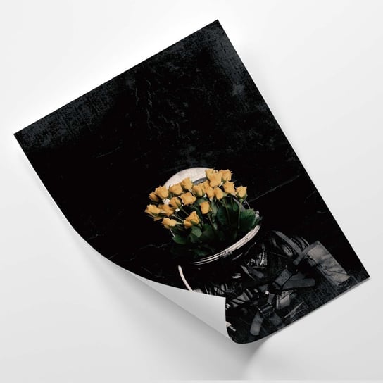Plakat FEEBY Róże w kasku astronauty - VK Art 60x80 Feeby