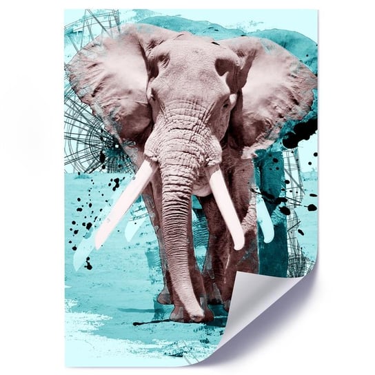 Plakat FEEBY Słoń afrykański abstrakcja, 70x100 cm Feeby