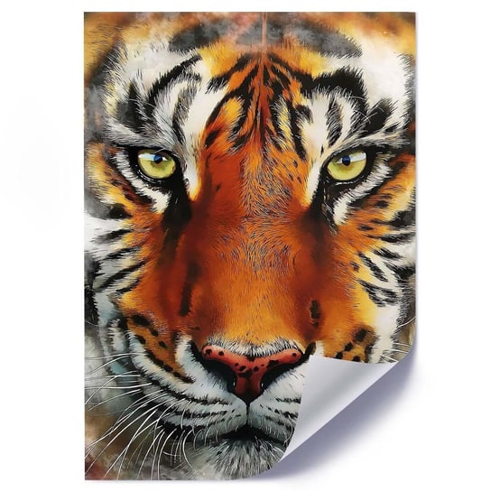 Plakat FEEBY Spojrzenie tygrysa, 50x70 cm Feeby