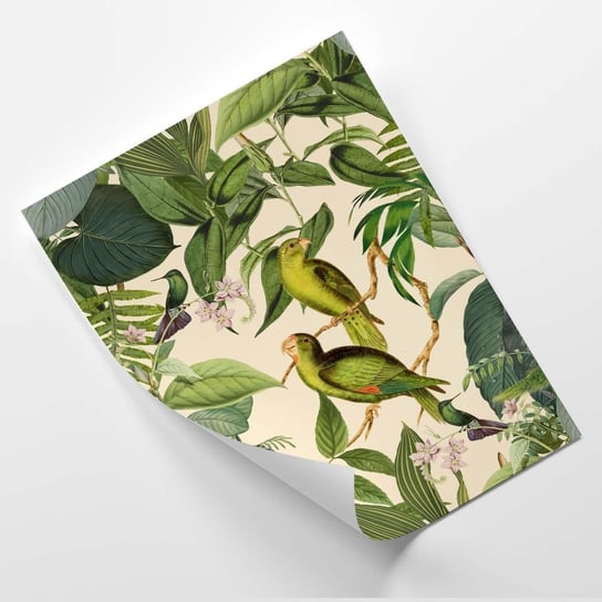 Plakat FEEBY Tropikalne ptaki w dżungli - Andrea Haase 60x80 Feeby