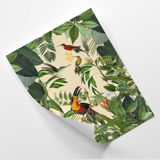 Plakat FEEBY Tropikalny tukan - Andrea Haase 30x40 Feeby