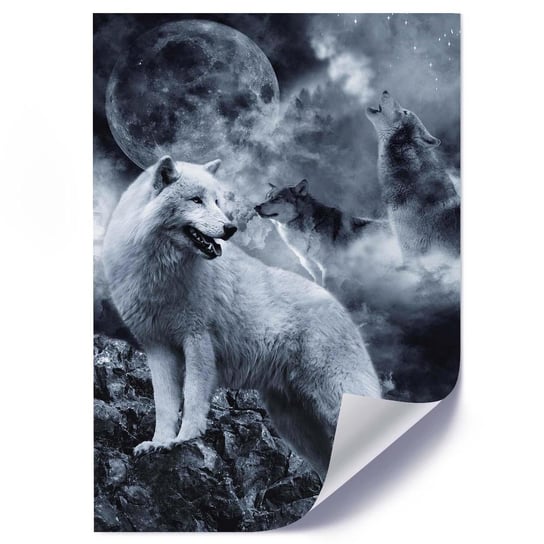 Plakat FEEBY Wilki i księżyc, 70x100 cm Feeby
