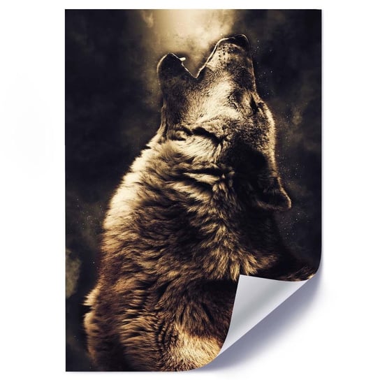 Plakat FEEBY Wyjący wilk, 70x100 cm Feeby