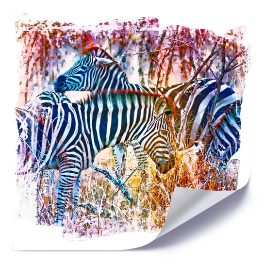 Plakat FEEBY Zebry na kolorowym tle, 40x40 cm Feeby