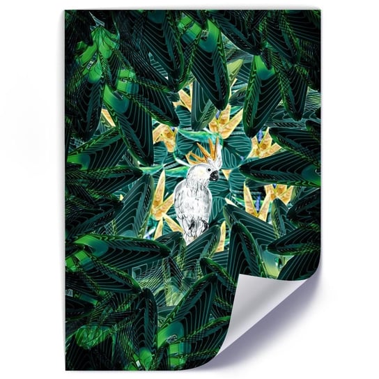 Plakat FEEBY Zielona kryjówka, 40x60 cm Feeby