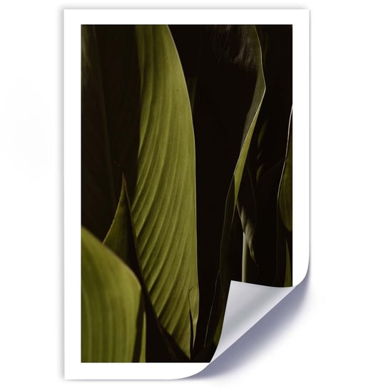 Plakat FEEBY Zielone liście tropików 30x45 Feeby