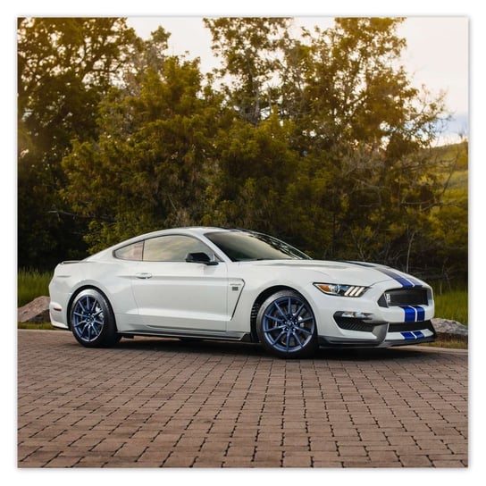 Plakat Ford Mustang Samochód USA, 70x70 cm ZeSmakiem