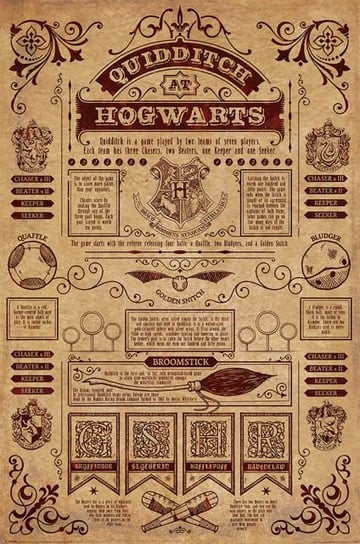 Plakat, Harry Potter (Ditch At Hogwarts), 61x91 cm Pyramid Posters