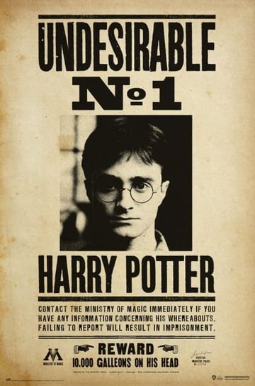 Plakat Harry Potter Poszukiwany Wanted 61X91,5Cm Grupo Erik