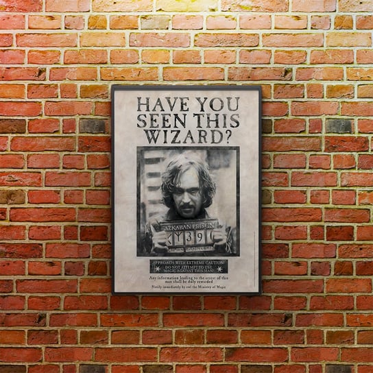 Plakat Harry Potter Syriusz Black 001, 42x29.7cm Inna marka