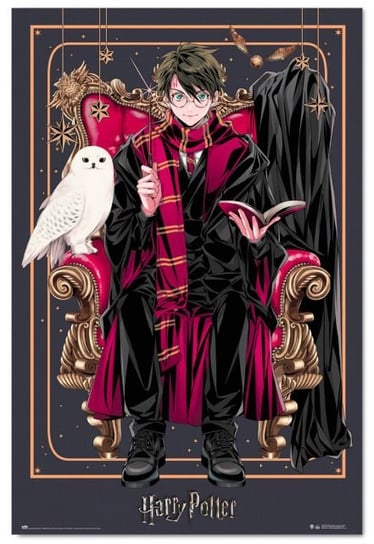 Plakat Harry Potter z Sową Hedwigą plakaty na ścianę 61x91,5 cm Grupo Erik
