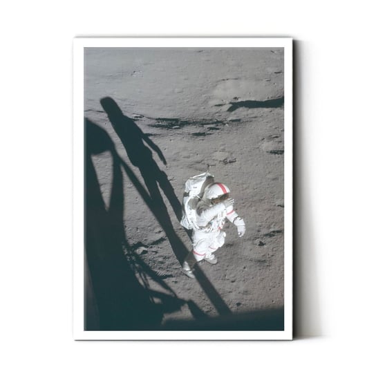 Plakat IKKUNASHOP,  Alone on the moon 30x40 Biała ramka IkkunaShop