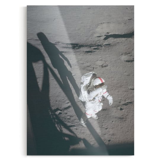 Plakat IKKUNASHOP,  Alone on the moon 40x60 IkkunaShop