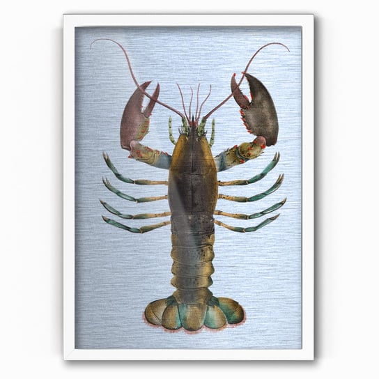 Plakat IKKUNASHOP,  American Lobster 30x40 Biała ramka IkkunaShop