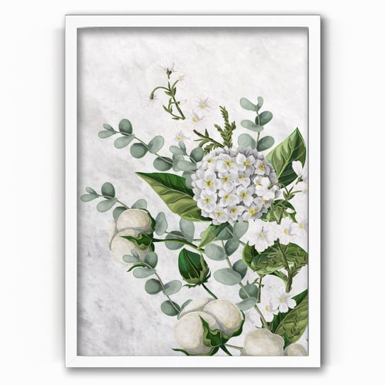Plakat IKKUNASHOP,  Cotton Flower 30x40 Biała ramka IkkunaShop
