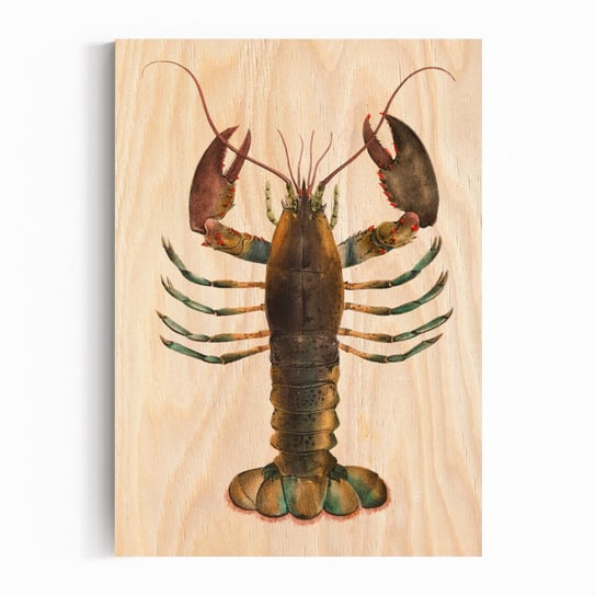 Plakat IKKUNASHOP, Plakat na drewnie American Lobster 20x30 IkkunaShop