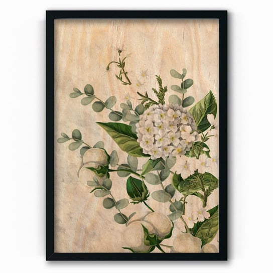 Plakat IKKUNASHOP, Plakat na drewnie Cotton Flower 30x40 Czarna ramka IkkunaShop