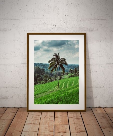 Plakat, Jatiluwih tree, 21x29,7 cm reinders