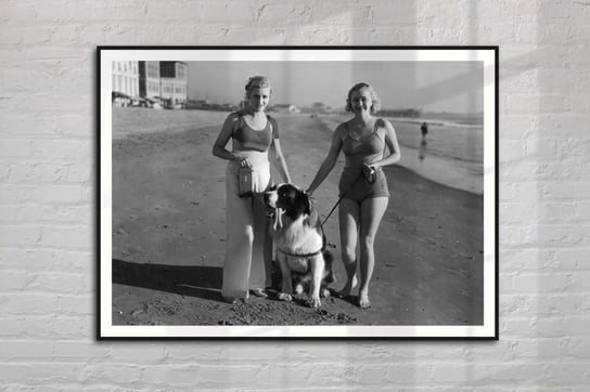 Plakat Kobiety z bernardynem na plaży 70x50 cm / DodoPrint Dodoprint