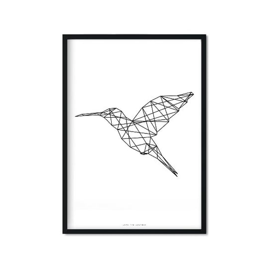 Plakat Koliber, biało-czarny, 50x70 cm Love The Journey
