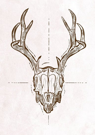 Plakat, Kozioł Czaszka z rogami, 42x59,4 cm reinders