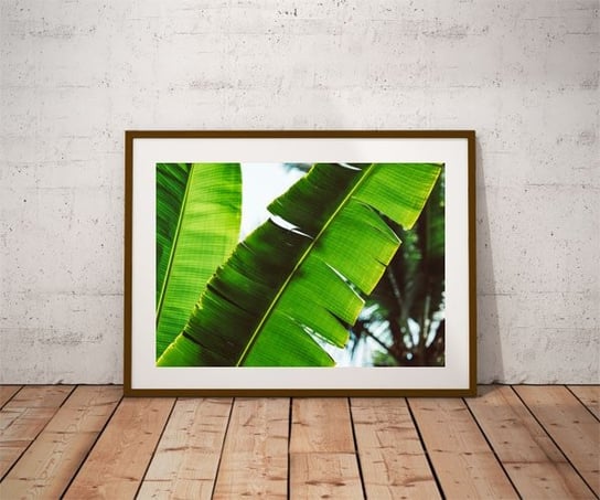 Plakat, Leaf, 30x20 cm reinders