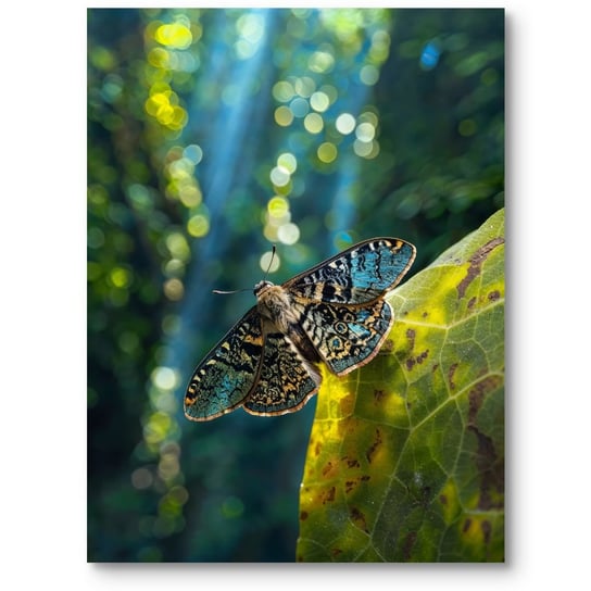 Plakat makro fotografia motyl na zielonym liściu do salonu zielony żółty 40x50 cm MieszkoMieszko