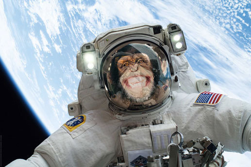 Plakat, Małpa w Kosmosie, 91,5x61 cm reinders