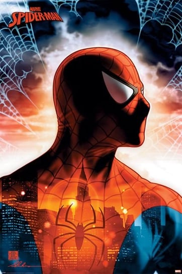 Plakat Maxi Spider-Man, Protector Of The City, Marvel Marvel