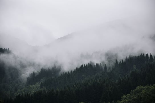 Plakat, Mgła w górach, 60x40 cm reinders