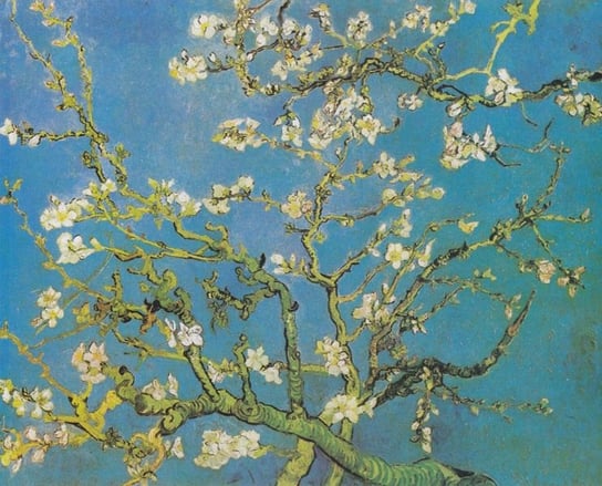 Plakat, Migdałowiec Van Gogh, 59,4x42 cm reinders