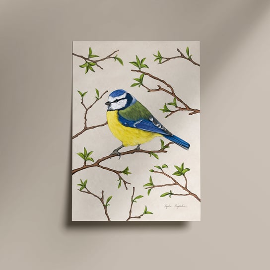 Plakat modraszka z tłem 21x30 cm autorska ilustracja, dekoracja, sikorka modra TukanMedia