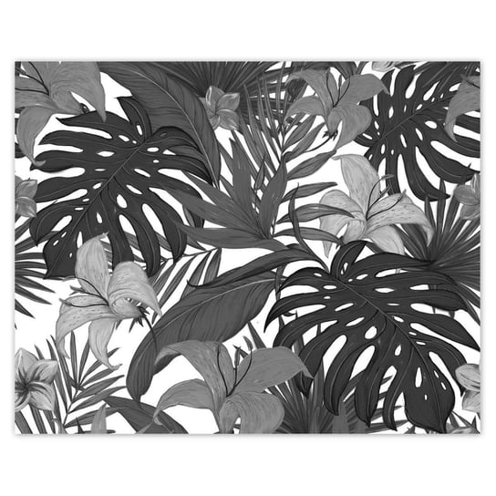 Plakat Monstera, 50x40 cm ZeSmakiem