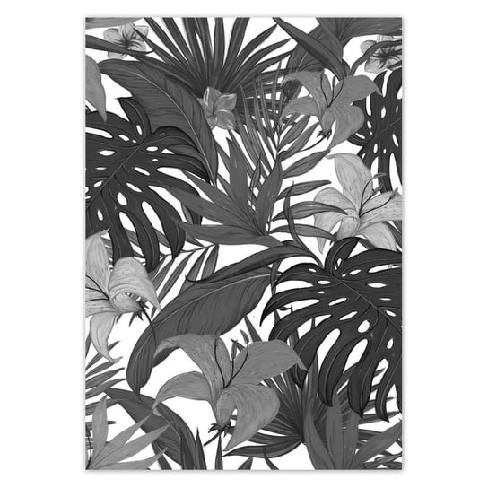 Plakat Monstera, 70x100 cm ZeSmakiem