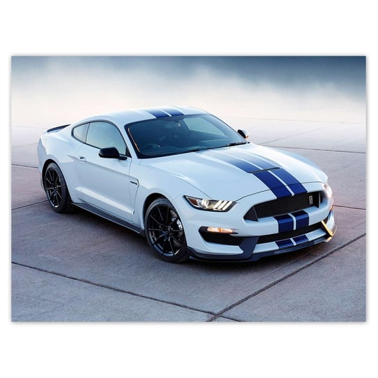 Plakat Mustang Shelby Ford USA, 40x30 cm ZeSmakiem