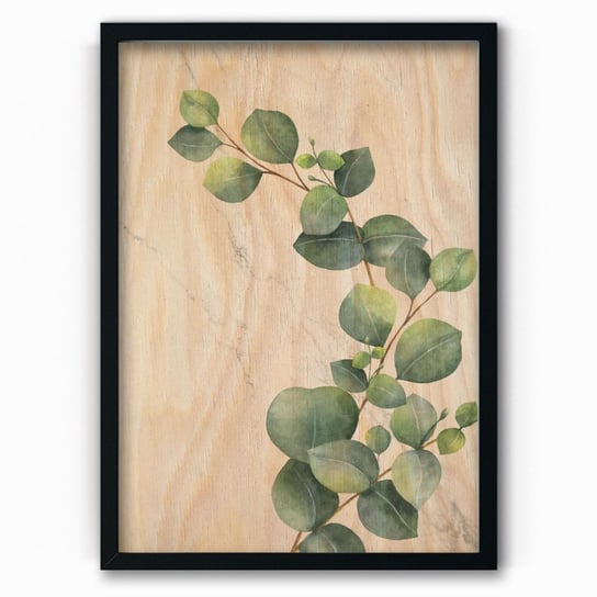 Plakat na drewnie Eucalyptus Classic 30x40 Czarna ramka / IkkunaShop IkkunaShop