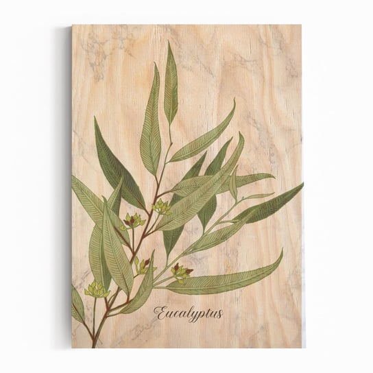 Plakat na drewnie Eucalyptus Marble 20x30 / IkkunaShop IkkunaShop