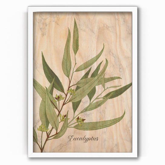 Plakat na drewnie Eucalyptus Marble 40x60 Biala ramka / IkkunaShop IkkunaShop