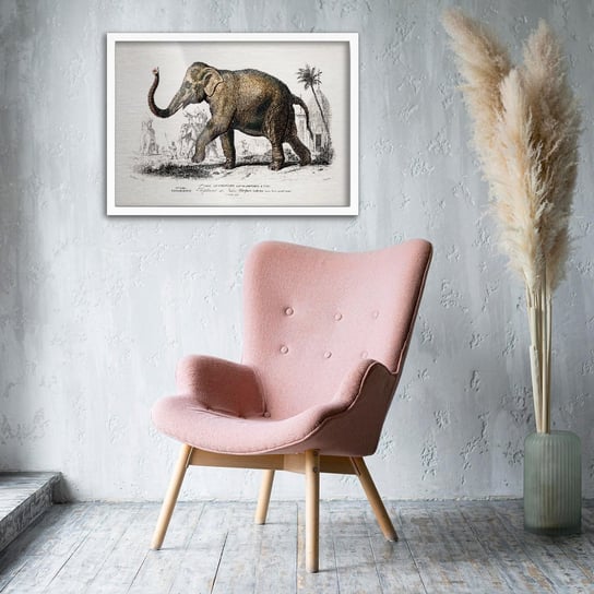 Plakat na metalu Asiatic elephant by Charles Dessalines D’Orbigny 20x30 Biala ramka / IkkunaShop IkkunaShop