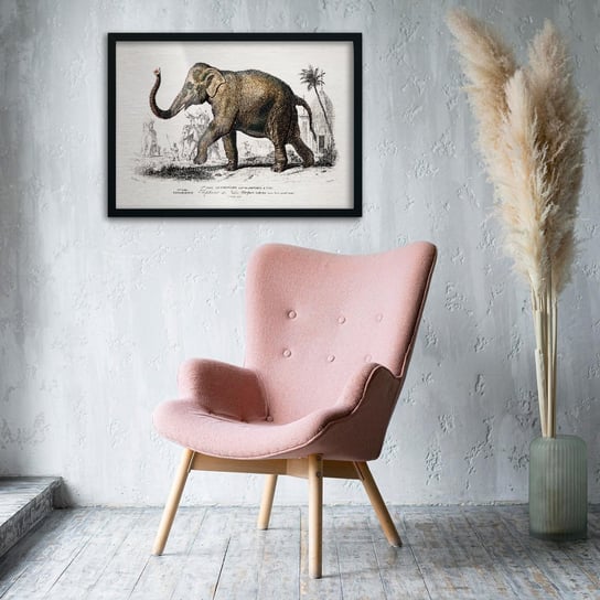 Plakat na metalu Asiatic elephant by Charles Dessalines D’Orbigny 20x30 Czarna ramka / IkkunaShop IkkunaShop