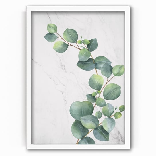 Plakat na papierze Eucalyptus Classic 20x30 Biala ramka / IkkunaShop IkkunaShop