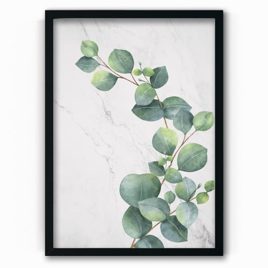 Plakat na papierze Eucalyptus Classic 20x30 Czarna ramka / IkkunaShop IkkunaShop