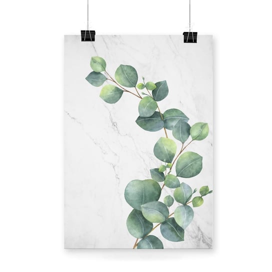 Plakat na papierze Eucalyptus Classic 20x30 / IkkunaShop IkkunaShop