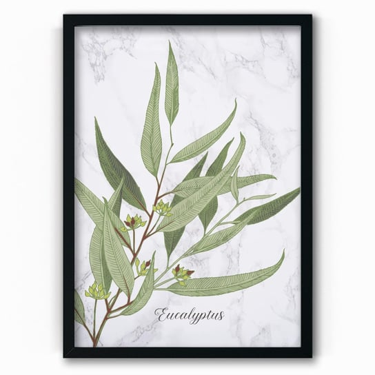 Plakat na papierze Eucalyptus Marble 40x60 Czarna ramka / IkkunaShop IkkunaShop