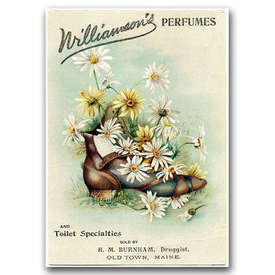 Plakat na płótnie na ścianę Perfumy Williamsona A1 Vintageposteria