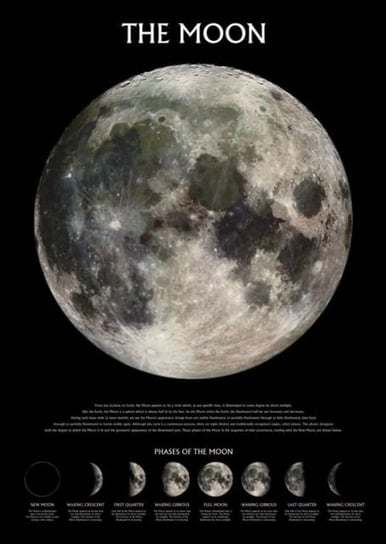 Plakat na ścianę Księżyc w pełni fazy Księżyca plakaty 61x91,5 cm Pyramid International