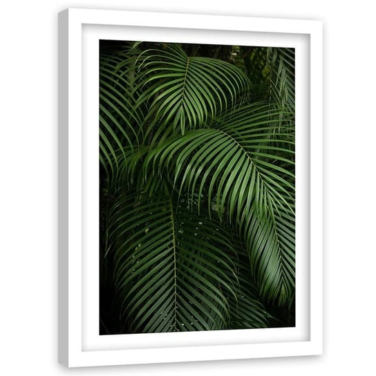 Plakat na ścianę w ramie białej FEEBY Liście palmy tropikalne, 60x90 cm Feeby