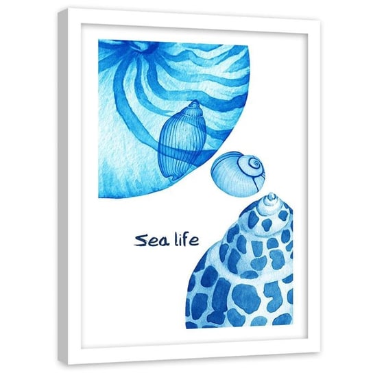 Plakat na ścianę w ramie białej FEEBY Motyw morski muszle napis, 50x70 cm Feeby