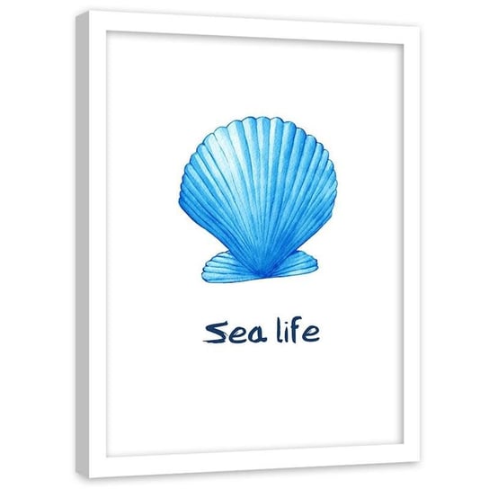 Plakat na ścianę w ramie białej FEEBY Napis Sea life i błękitna muszla, 70x100 cm Feeby