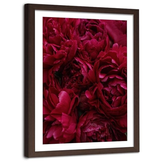 Plakat na ścianę w ramie brązowej FEEBY Natura kwiat piwonii, 60x80 cm Feeby